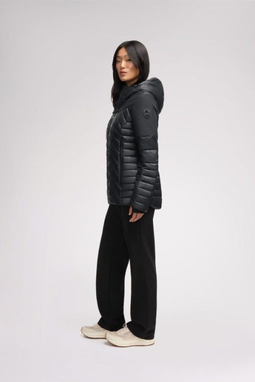 Vestigeatelier.shopbb06fabcd9 2